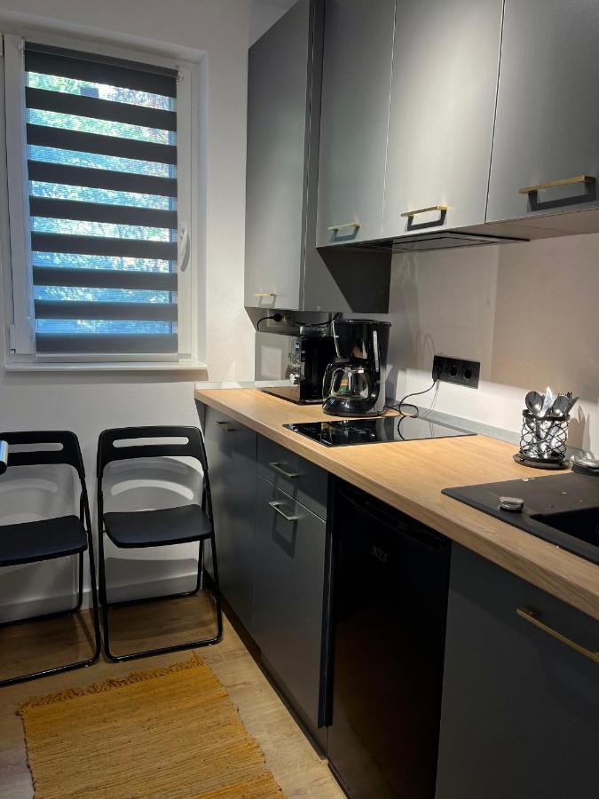 Alexander Cozy Apartment Free Private Parking Mediaş المظهر الخارجي الصورة