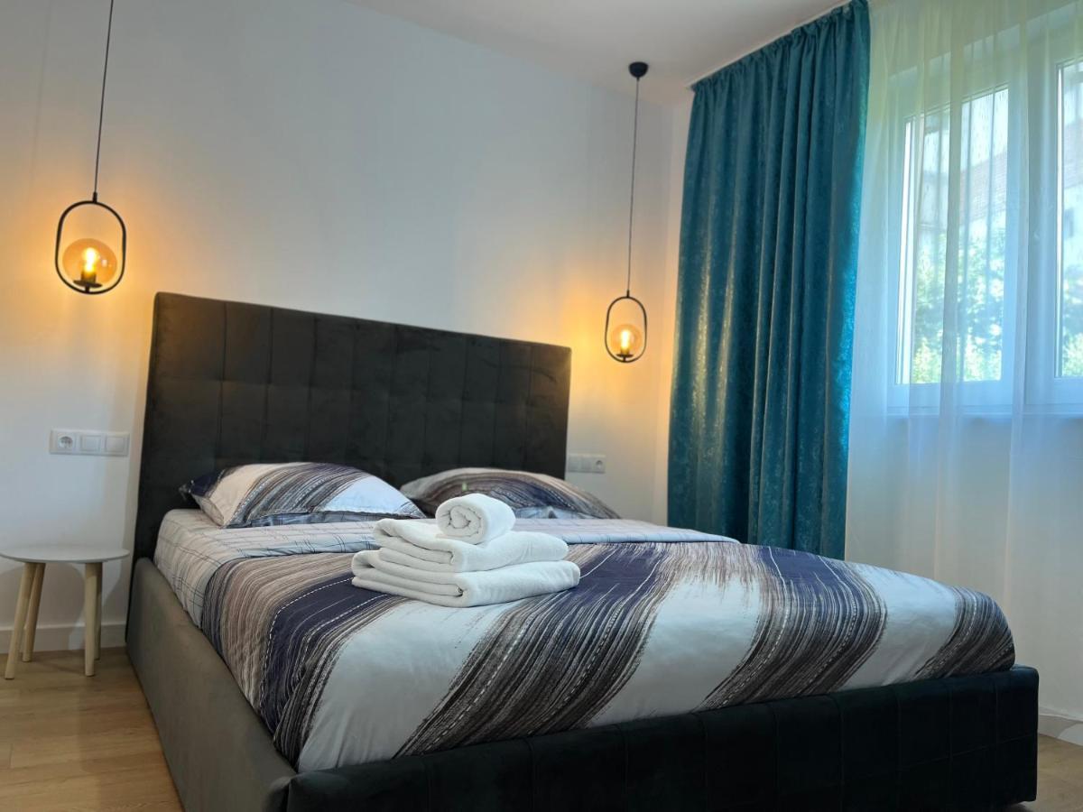 Alexander Cozy Apartment Free Private Parking Mediaş المظهر الخارجي الصورة