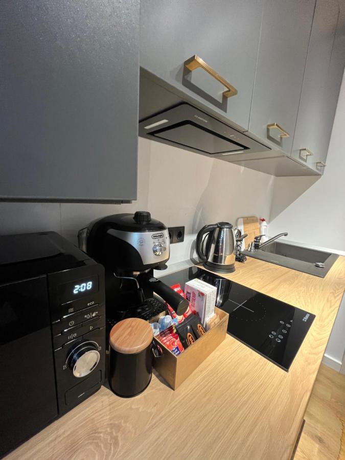 Alexander Cozy Apartment Free Private Parking Mediaş المظهر الخارجي الصورة